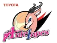 Toyota Antelopes W
