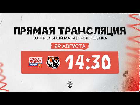 Amurskie Tigry Sweep Pre-Season Series with Dominant 4-0 Win Over Red Mashine Yuniors