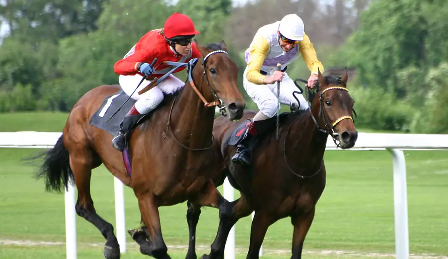 Ascot Gold Cup Betting Guide: Royal Meeting Feature Race