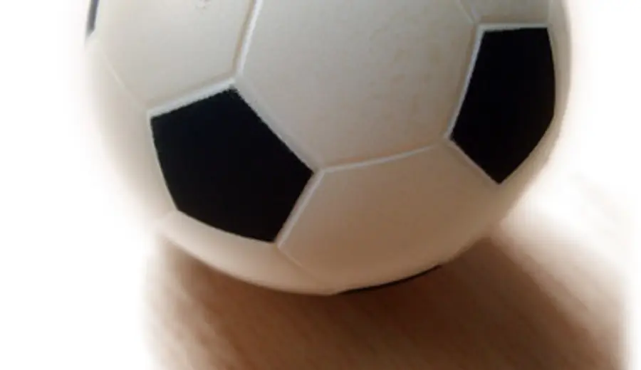 Austrian Bundesliga Betting Guide: Betting on Austrian Football