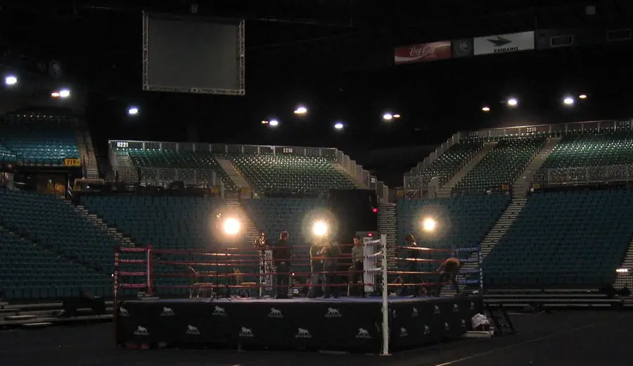 Boxing Betting Guide: How to Bet on Boxing Matches and Results