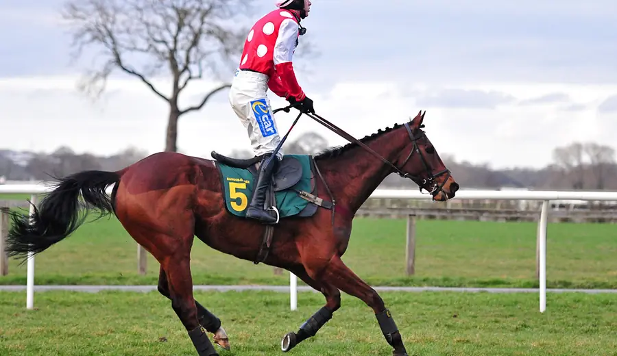 Cheltenham 2026 Preview: Expert Betting Guide to This Year's Festival