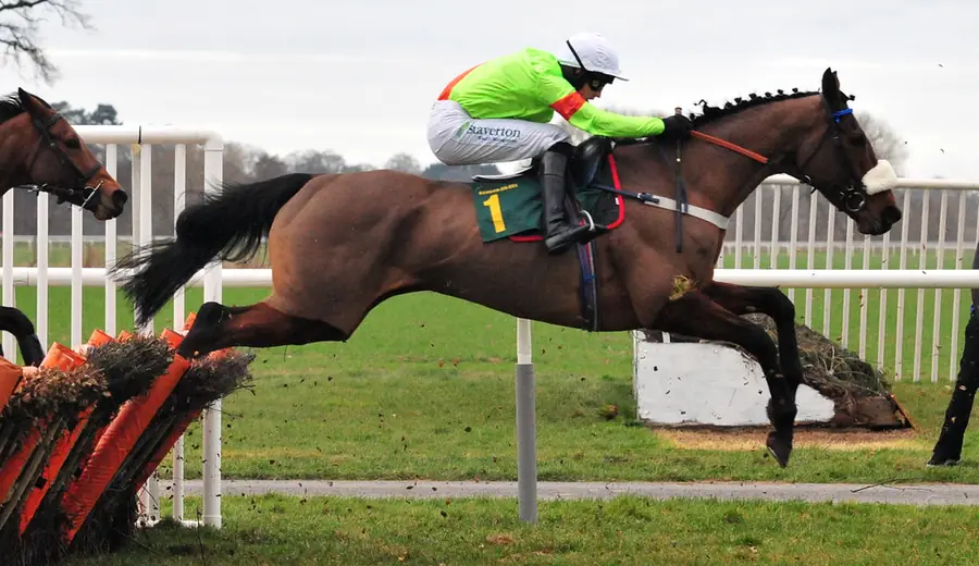 Cheltenham Festival Betting Guide: How to Win at the Festival