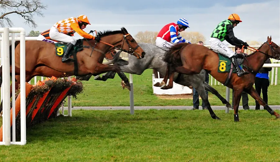 Cheltenham Festival Trends: Data-Driven Betting Analysis