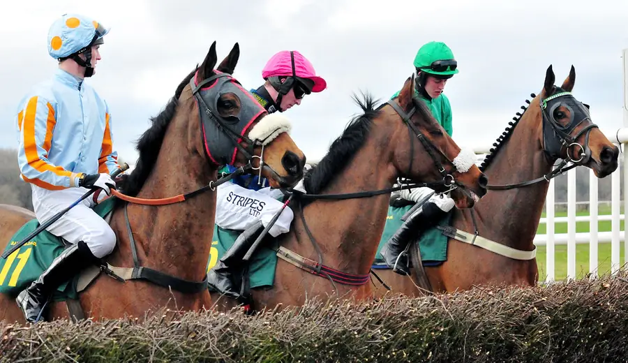 Cheltenham Gold Cup Betting: How to Pick the Winner
