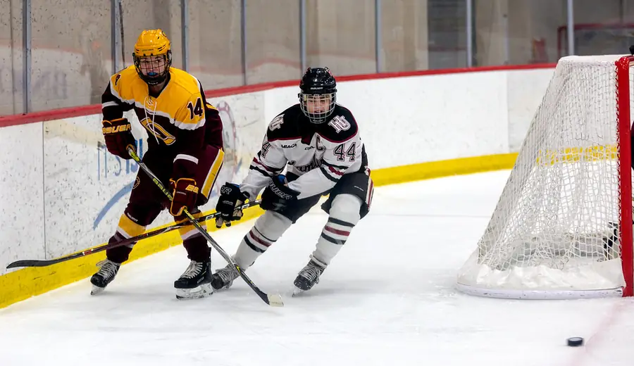 DEL Ice Hockey Betting: German Elite League Betting Guide