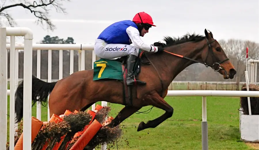 Draw Bias in Horse Racing: How Starting Position Affects Outcomes