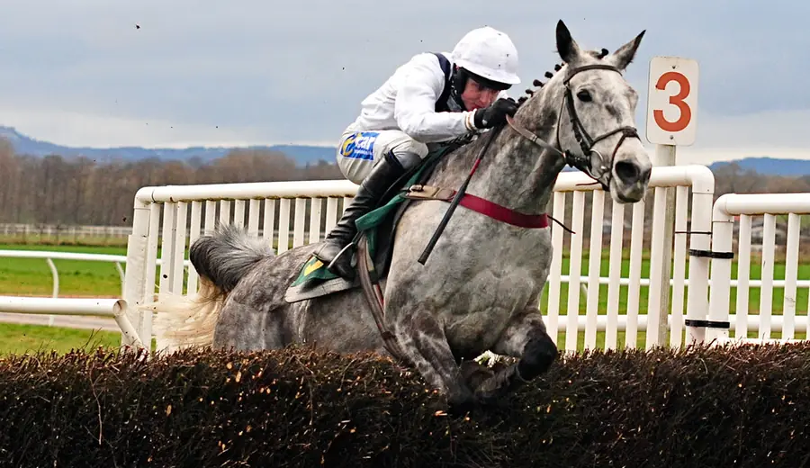 Early Price vs Starting Price in Horse Racing: Which Is Better?