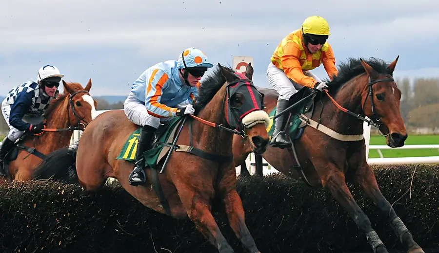 Going in Horse Racing: How Track Conditions Affect Race Outcomes