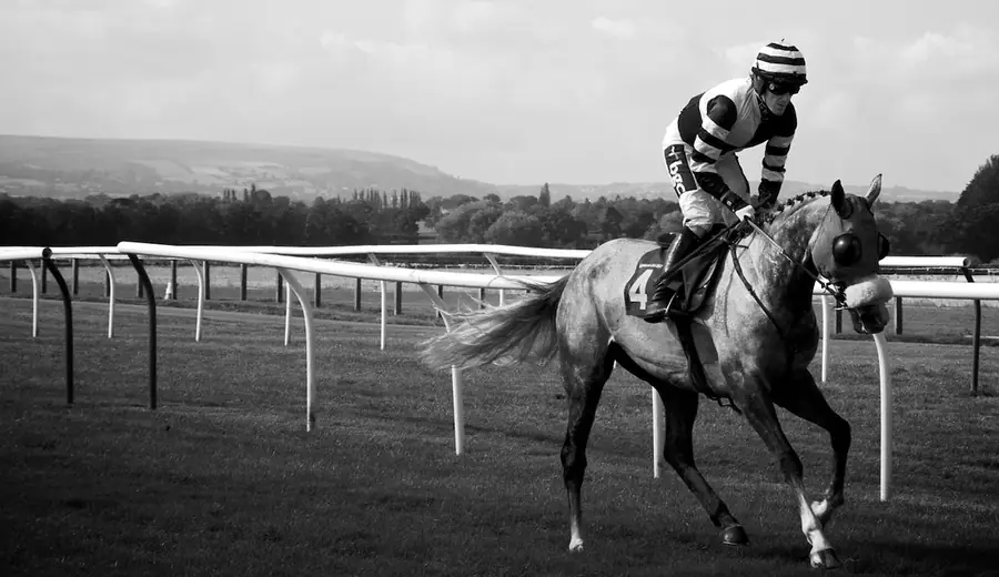 Grand National Field Analysis: How to Assess the Runners