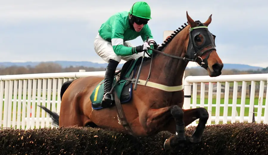 Horse Racing Abbreviations and Terms: Complete Racing Glossary