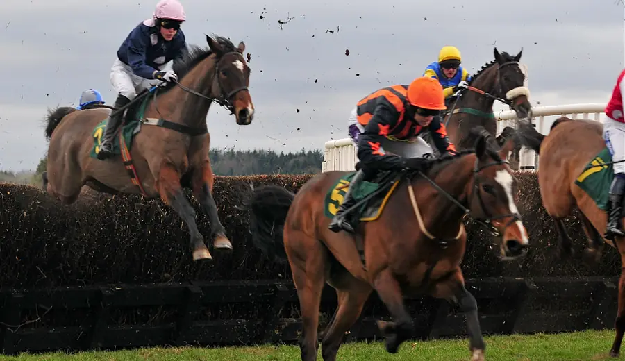 Horse Racing Betting Guide: Everything You Need to Know