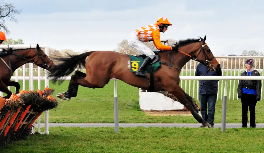 Horse Racing Blood Substitutes: How Medication Rules Affect Betting