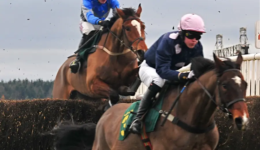 Horse Racing Breeding: How Pedigree Affects Betting Decisions