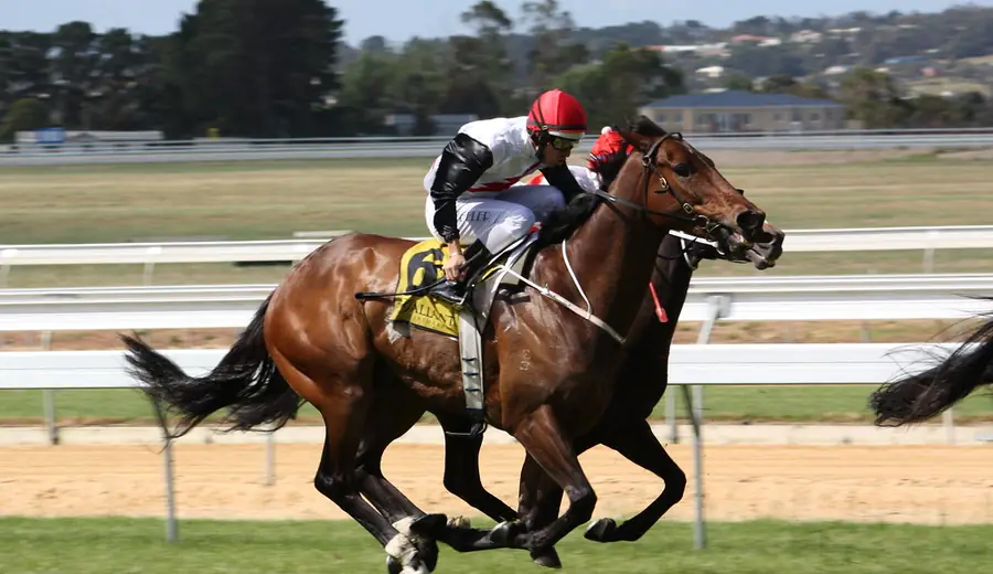 Horse Racing Each-Way Betting Strategy: How to Pick Each-Way Winners