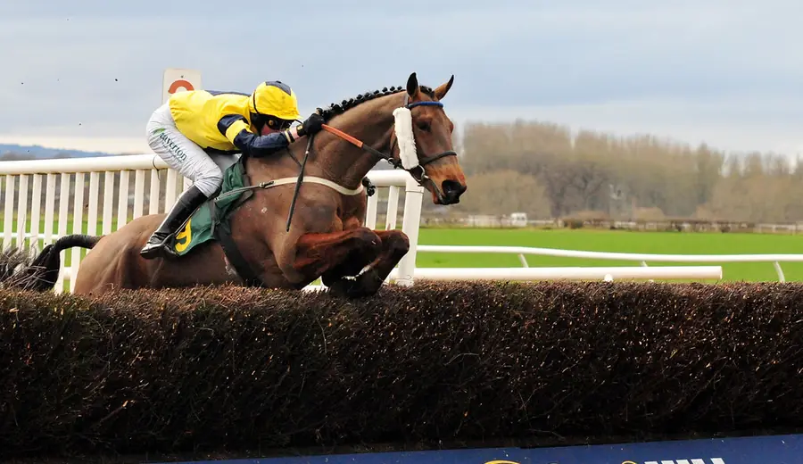 Horse Racing Form Guide: How to Read the Form Book