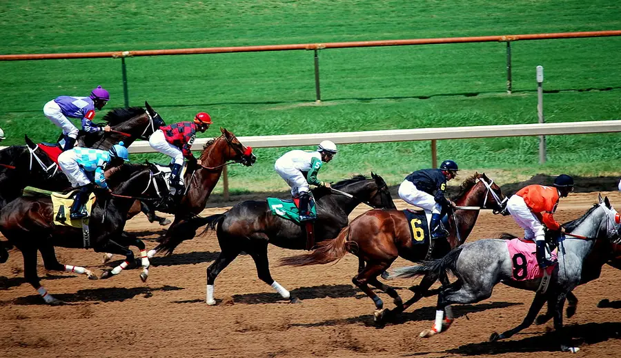 Horse Racing Syndicates: How to Join a Racing Syndicate