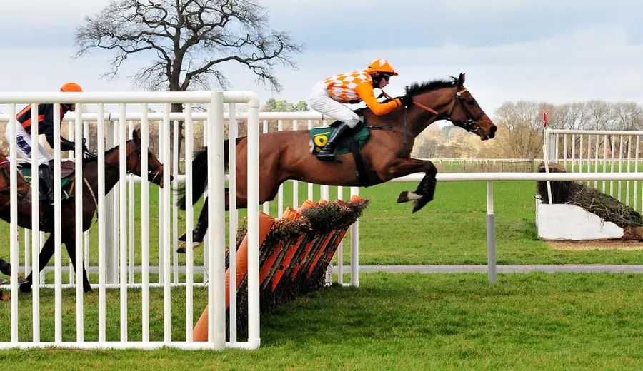 How Does Each-Way Betting Work? Full Guide with Examples
