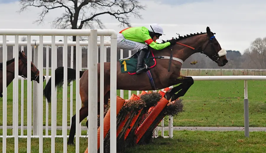 How to Bet on Horse Racing Each-Way: Strategy for Profit