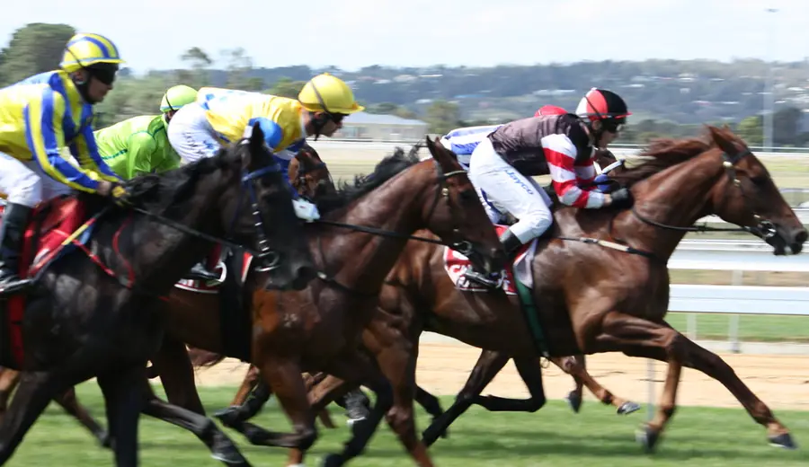 How to Lay Horses on a Betting Exchange: Lay Betting Strategy for Racing
