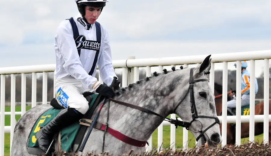How to Use Racing Post: Complete Guide for Betting Researchers