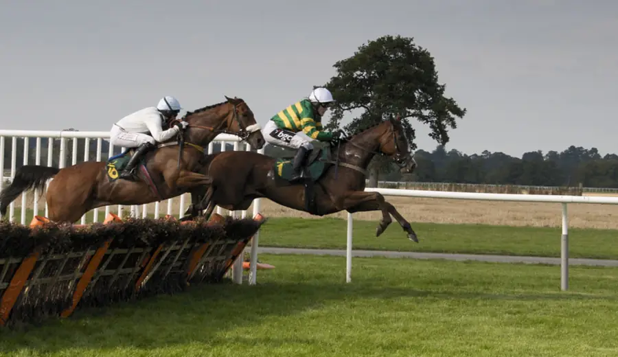 Jockey Statistics and Betting: How to Use Jockey Data