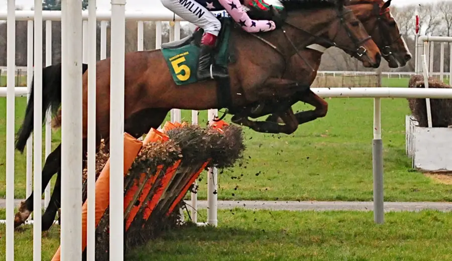 Placepot Guide: How to Bet on the Racing Post Placepot