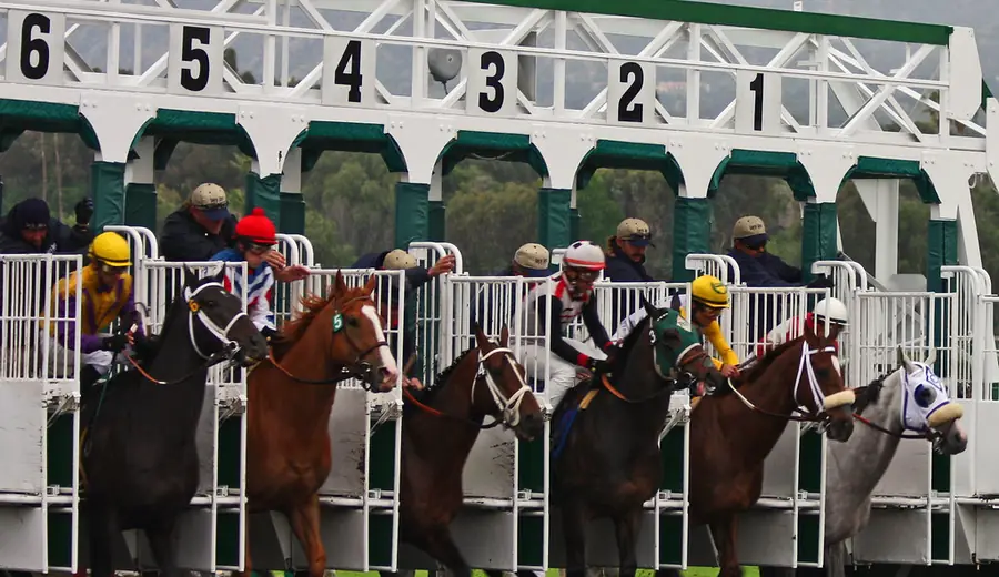 Speed Ratings in Horse Racing: How Timeform and RPR Work