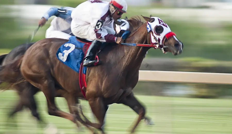 Starting Price (SP) Betting in Horse Racing: Complete Guide