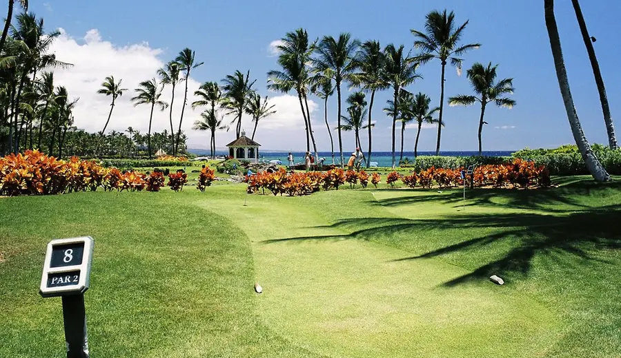 Strokes Gained Statistics: How to Use SG Data for Golf Betting