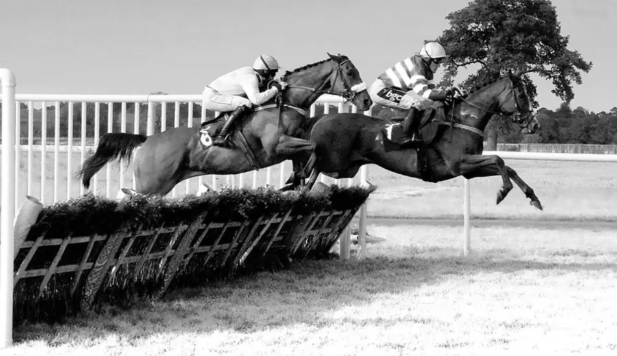 Tote Exacta, Trifecta, and Placepot: Guide to Tote Pool Bets