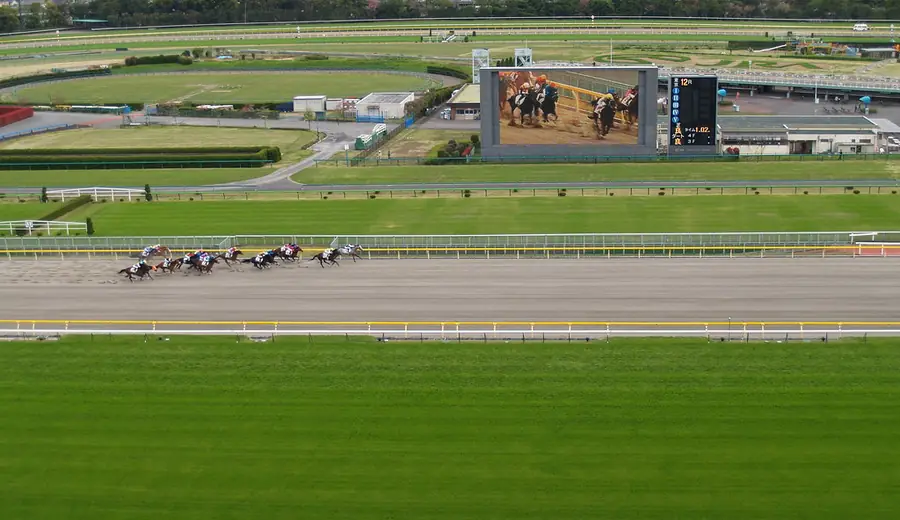 Trainer Statistics in Horse Racing: How to Use Trainer Data
