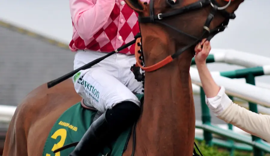 Using Speed Figures in Horse Racing Betting: Complete Guide