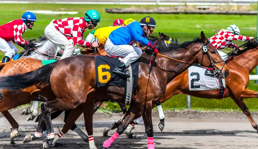 What Is a Lucky 15? Complete Guide to the Lucky 15 Bet