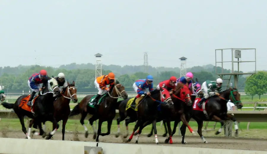 What Is a Lucky 31? Lucky 31 Bet Explained with Examples