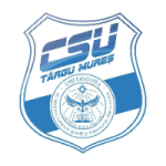 Targu Mures W